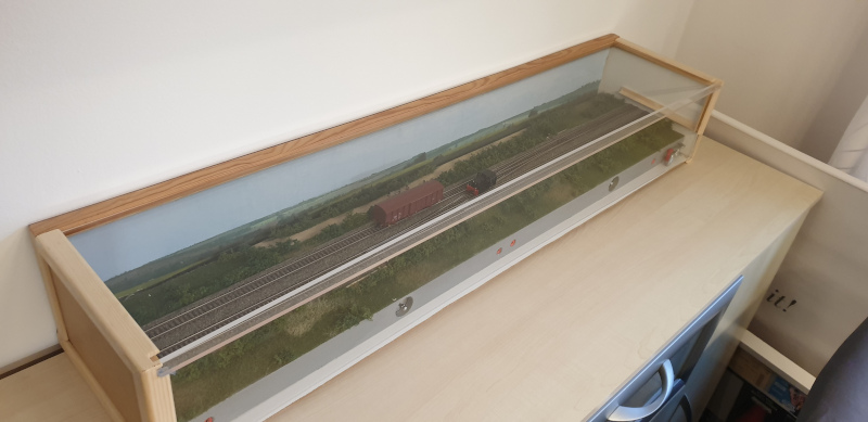 die fertige Modulbox mit Modul als Dioramabox